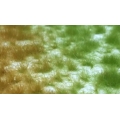 Ciuffi erba 5 mm. bicolore